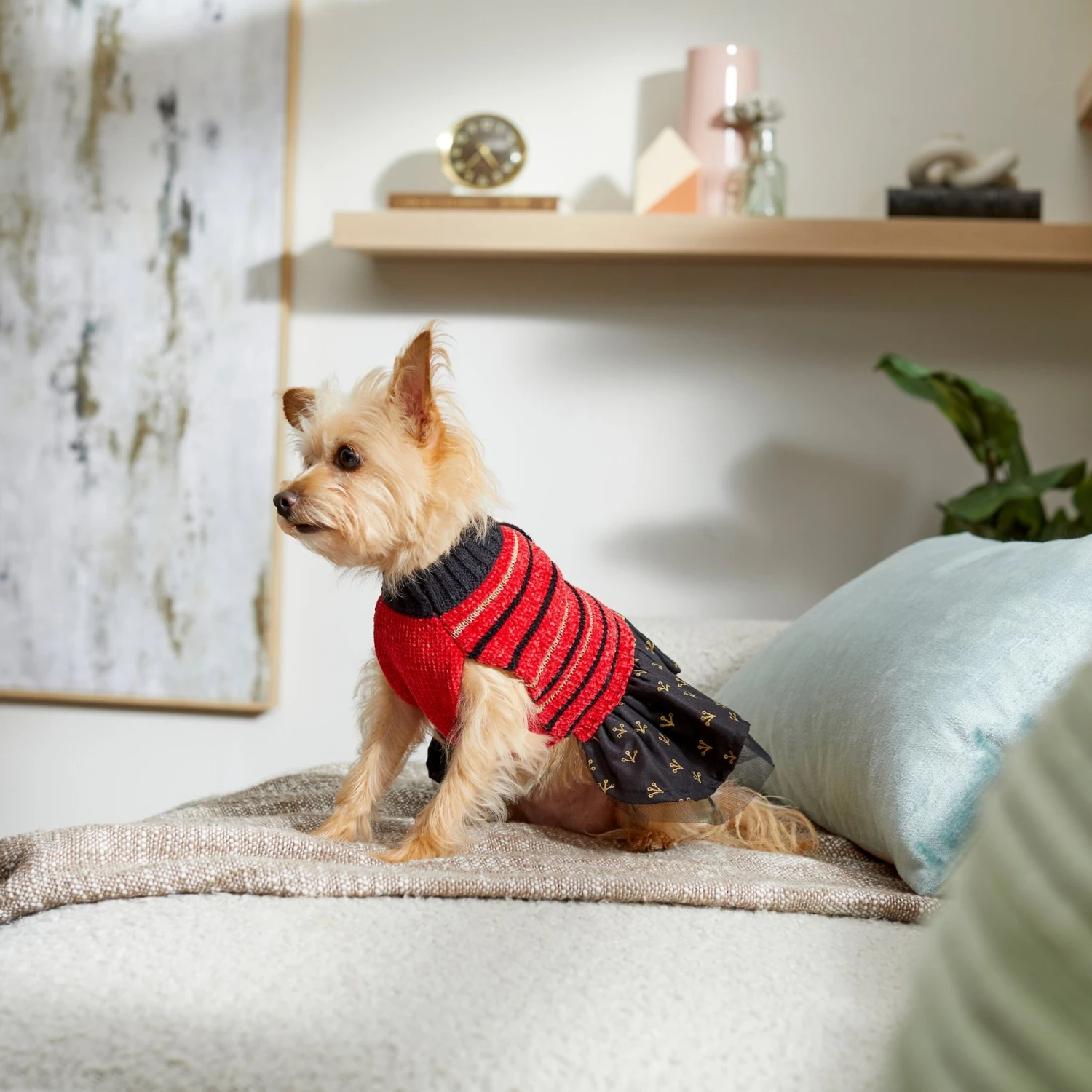 Frisco Chenille Knit Striped Dog & Cat Dress 7 Frisco Chenille Knit Striped Dog & Cat Dress - Image 7