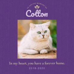 Frisco Personalized "Forever Home" Memorial Ceramic Photo Tile With Stand, 8" X 10" 5 Frisco Personalized "Forever Home" Memorial Ceramic Photo Tile With Stand, 8" X 10" -Frisco 268719 PT2. AC SS1800 V1619198214