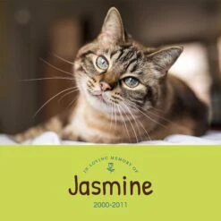 Frisco Personalized "Love" Memorial Ceramic Photo Tile With Stand, 8" X 10" 5 Frisco Personalized "Love" Memorial Ceramic Photo Tile With Stand, 8" X 10" -Frisco 268722 PT2. AC SS1800 V1619198218