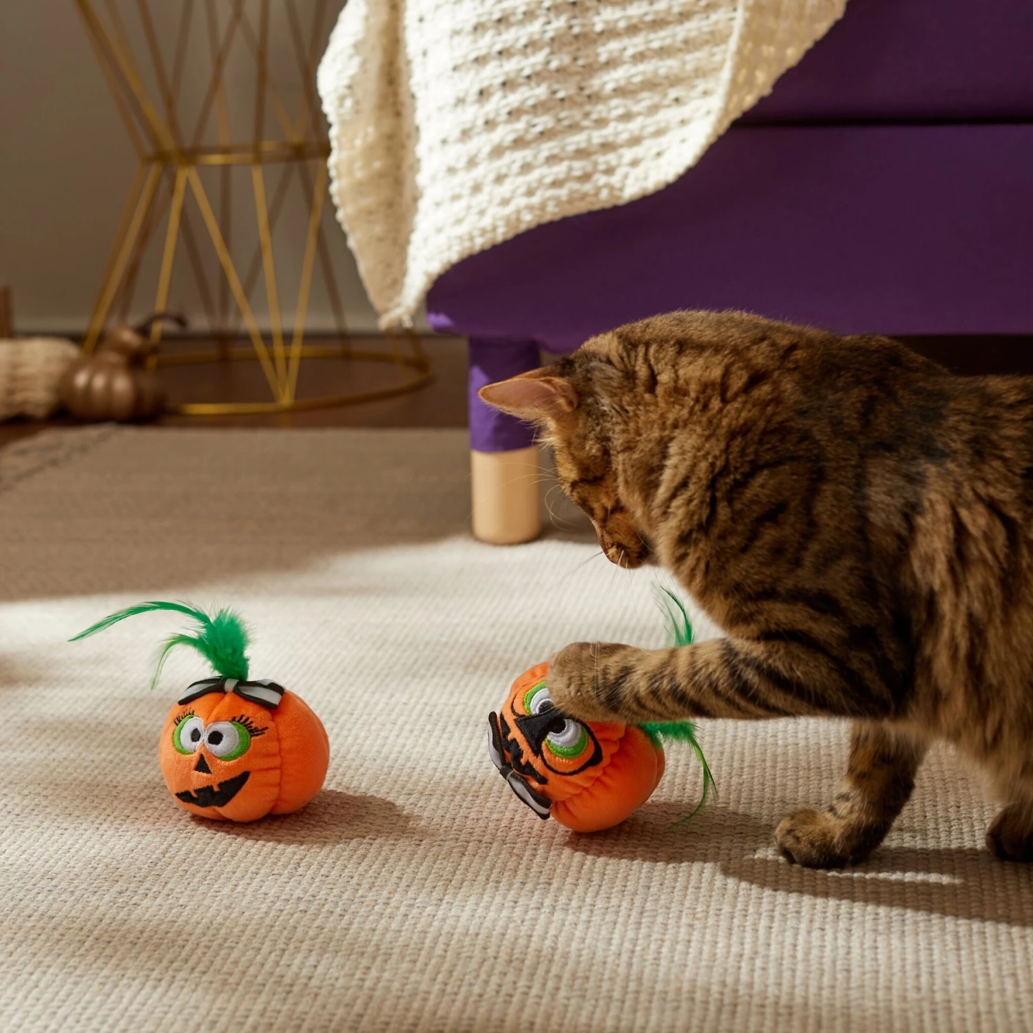 Frisco Halloween Nerdy Jack-o-Lanterns Plush Cat Toy With Catnip, 2 Count 3 Frisco Halloween Nerdy Jack-o-Lanterns Plush Cat Toy With Catnip, 2 Count - Image 3