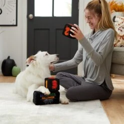 Frisco Halloween 30 Days Of Halloween Countdown Blocks Plush Squeaky Dog Toy 7 Frisco Halloween 30 Days Of Halloween Countdown Blocks Plush Squeaky Dog Toy -Frisco 270494 PT3. AC SS1800 V1624817483