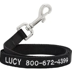Frisco Solid Nylon Personalized Dog Leash