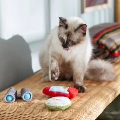 Frisco Camping Compass & Lantern Plush Cat Toy With Catnip, 2 Count 5 Frisco Camping Compass & Lantern Plush Cat Toy With Catnip, 2 Count -Frisco 270985 PT3. AC SS1800 V1625009053