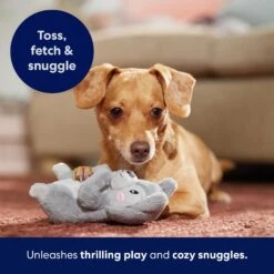 Frisco Camping Squirrel Plush Squeaky Dog Toy -Frisco 271001 PT5. AC SS1800 V1691785245