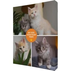 Frisco "Contemporary #1" 8 X 10 Gallery-Wrapped Canvas