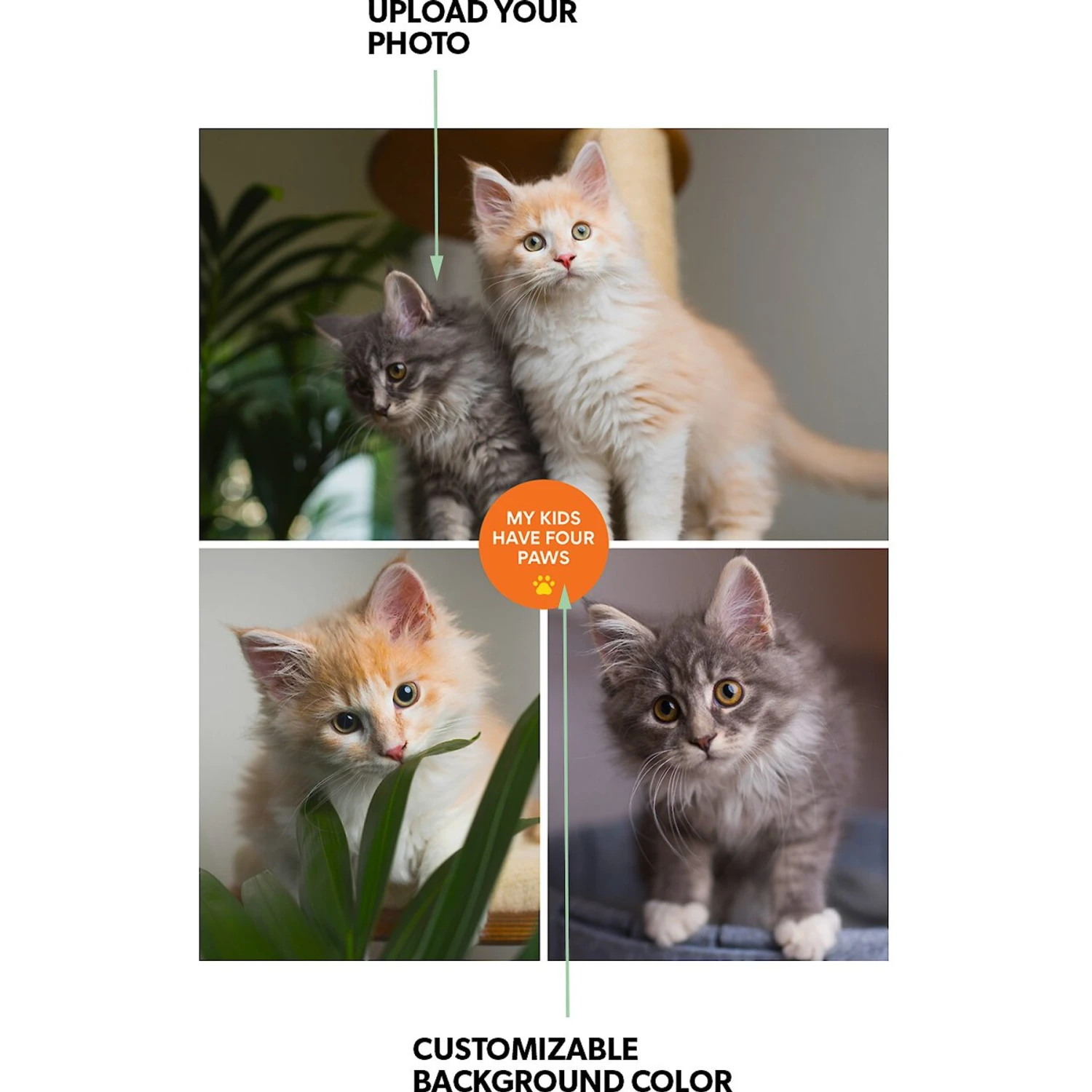 Frisco "Contemporary #1" 8 X 10 Gallery-Wrapped Canvas 2 Frisco "Contemporary #1" 8 X 10 Gallery-Wrapped Canvas - Image 2