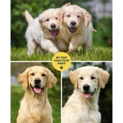 Frisco "Contemporary #1" 8 X 10 Gallery-Wrapped Canvas 6 Frisco "Contemporary #1" 8 X 10 Gallery-Wrapped Canvas -Frisco 272569 PT2. AC SS1800 V1625685737