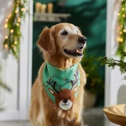 Frisco Peekaboo Reindeer Dog & Cat Bandana 13 Frisco Peekaboo Reindeer Dog & Cat Bandana -Frisco 276198 PT5. AC SS1800 V1637644939