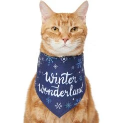 Frisco Winter Wonderland Dog & Cat Bandana -Frisco 276279 PT2. AC SS1800 V1637675218