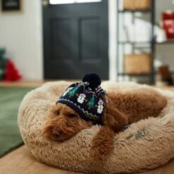 Frisco Jolly Snowman Dog & Cat Knitted Hat -Frisco 276303 PT8. AC SS1800 V1631300384