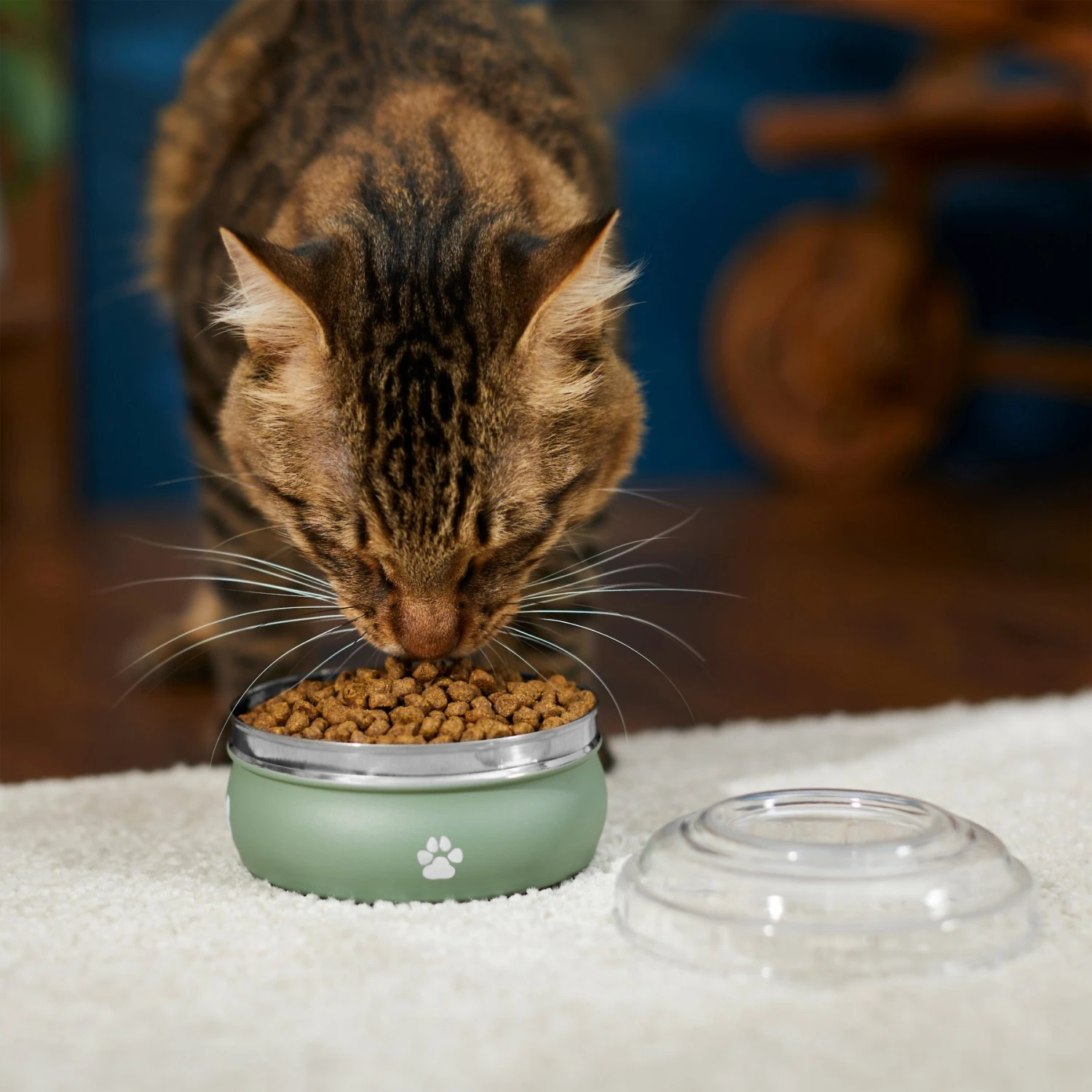 Frisco Travel Non-skid Stainless Steel Dog & Cat Bowl 4 Frisco Travel Non-skid Stainless Steel Dog & Cat Bowl - Image 4