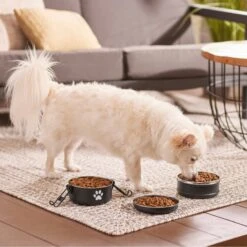 Frisco Travel Stainless Steel Dog & Cat Bowl 9 Frisco Travel Stainless Steel Dog & Cat Bowl -Frisco 277509 PT2. AC SS1800 V1630345984