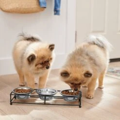 Frisco Multi Pet Feeding 3-Bowls Straight Stainless Steel Dog & Cat Bowl -Frisco 277568 PT2. AC SS1800 V1630346795