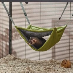 Frisco Forest Small Pet Bunk Bed