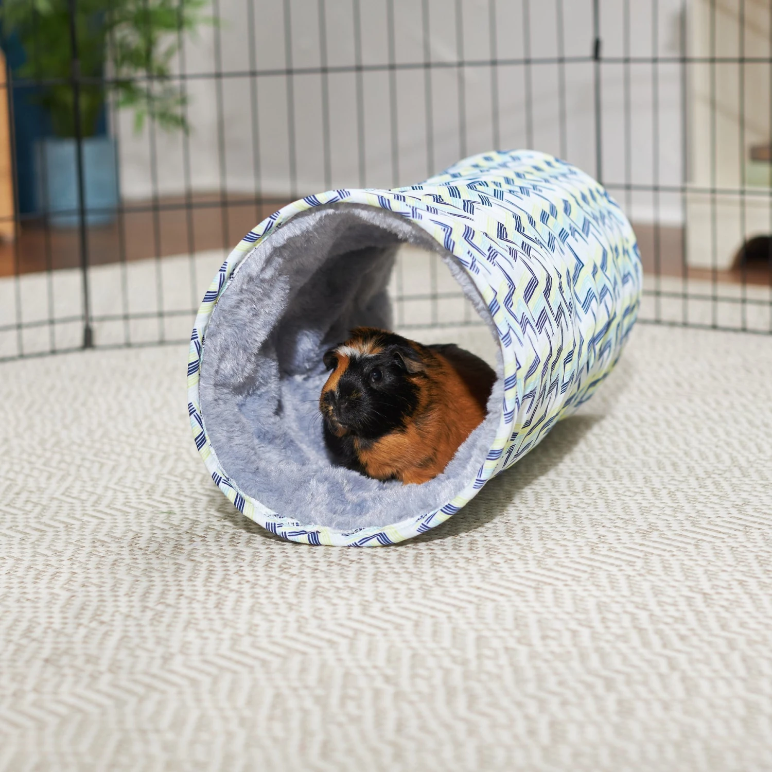Frisco Geometric Small Pet Crinkle Plush Tunnel 1 Frisco Geometric Small Pet Crinkle Plush Tunnel