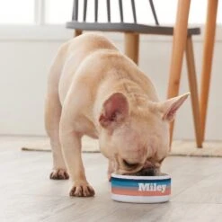 Frisco Personalized Watercolor Small Dog & Cat Bowl 7 Frisco Personalized Watercolor Small Dog & Cat Bowl -Frisco 278944 PT3. AC SS1800 V1629147733