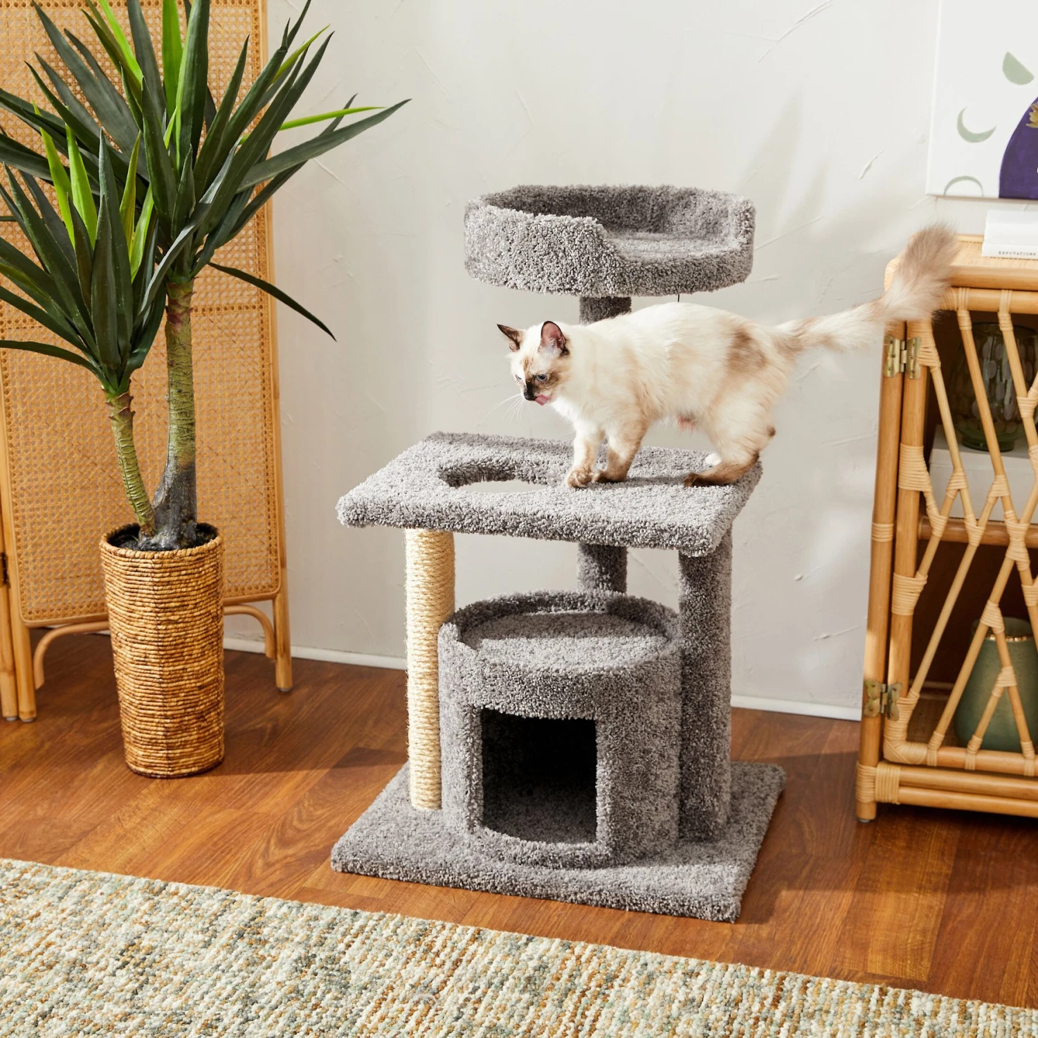 Frisco 37-in Real Carpet Cat Tree With Condo, Grey 1 Frisco 37-in Real Carpet Cat Tree With Condo, Grey