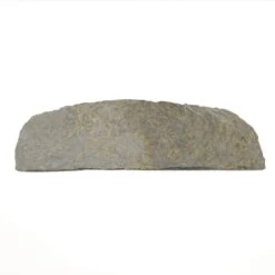 Frisco "Forever In Our Hearts" Personalized Dog & Cat Memorial Garden Stone 9 Frisco "Forever In Our Hearts" Personalized Dog & Cat Memorial Garden Stone -Frisco 287029 PT4. AC SS1800 V1645642901