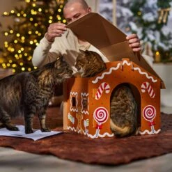 Frisco Holiday Gingerbread House Cardboard Cat House Cat Toy 9 Frisco Holiday Gingerbread House Cardboard Cat House Cat Toy -Frisco 287289 PT3. AC SS1800 V1695046487
