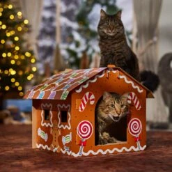 Frisco Holiday Gingerbread House Cardboard Cat House Cat Toy 10 Frisco Holiday Gingerbread House Cardboard Cat House Cat Toy -Frisco 287289 PT4. AC SS1800 V1694813217