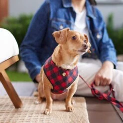 Frisco Fashion Over-The-Head Harness, Blue Plaid -Frisco 287472 PT8. AC SS1800 V1632316407