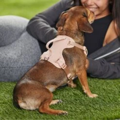 Frisco Comfort Padded Dog Harness 9 Frisco Comfort Padded Dog Harness -Frisco 291539 PT8. AC SS1800 V1650490890