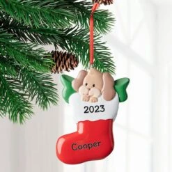 Frisco Dog In Stocking Resin Personalized Ornament -Frisco 295085 PT2. AC SS1800 V1697131878
