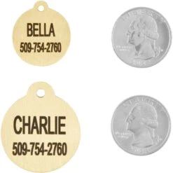 Frisco Brass Personalized Dog & Cat ID Tag, Round 8 Frisco Brass Personalized Dog & Cat ID Tag, Round -Frisco 296194 PT5. AC SS1800 V1628186525