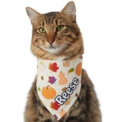Frisco Pumpkin Spice Personalized Dog & Cat Bandana 16 Frisco Pumpkin Spice Personalized Dog & Cat Bandana -Frisco 296998 PT7. AC SS1800 V1627654273