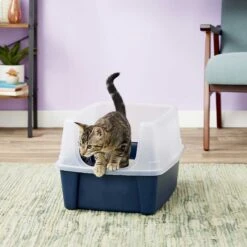 Frisco Plastic Litter Scooper With Caddy & IRIS USA Open Top Litter Box With Scatter Shield 13 Frisco Plastic Litter Scooper With Caddy & IRIS USA Open Top Litter Box With Scatter Shield -Frisco 298166 PT6. AC SS1800 V1623202669