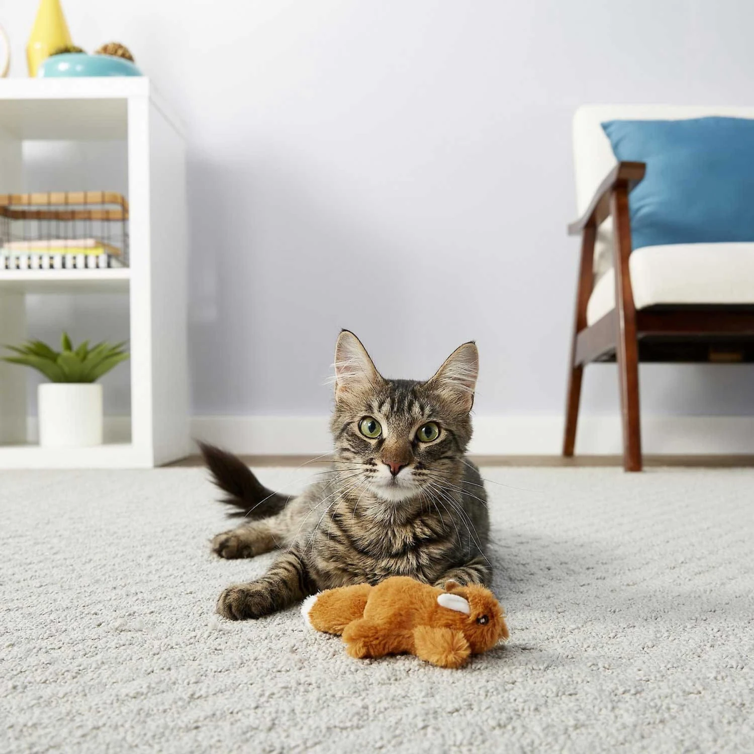 Sheba Meaty Tender Sticks Tuna Flavor Soft Adult Cat Treats & Frisco Squirrel Plush Cat Toy With Refillable Catnip 6 Sheba Meaty Tender Sticks Tuna Flavor Soft Adult Cat Treats & Frisco Squirrel Plush Cat Toy With Refillable Catnip - Image 6