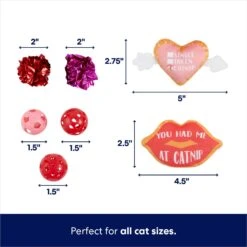 Frisco Valentine Variety Pack Cat Toy With Catnip, 13 Count 7 Frisco Valentine Variety Pack Cat Toy With Catnip, 13 Count -Frisco 298966 PT2. AC SS1800 V1701364858