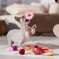 Frisco Valentine Variety Pack Cat Toy With Catnip, 13 Count 8 Frisco Valentine Variety Pack Cat Toy With Catnip, 13 Count -Frisco 298966 PT3. AC SS1800 V1701364858