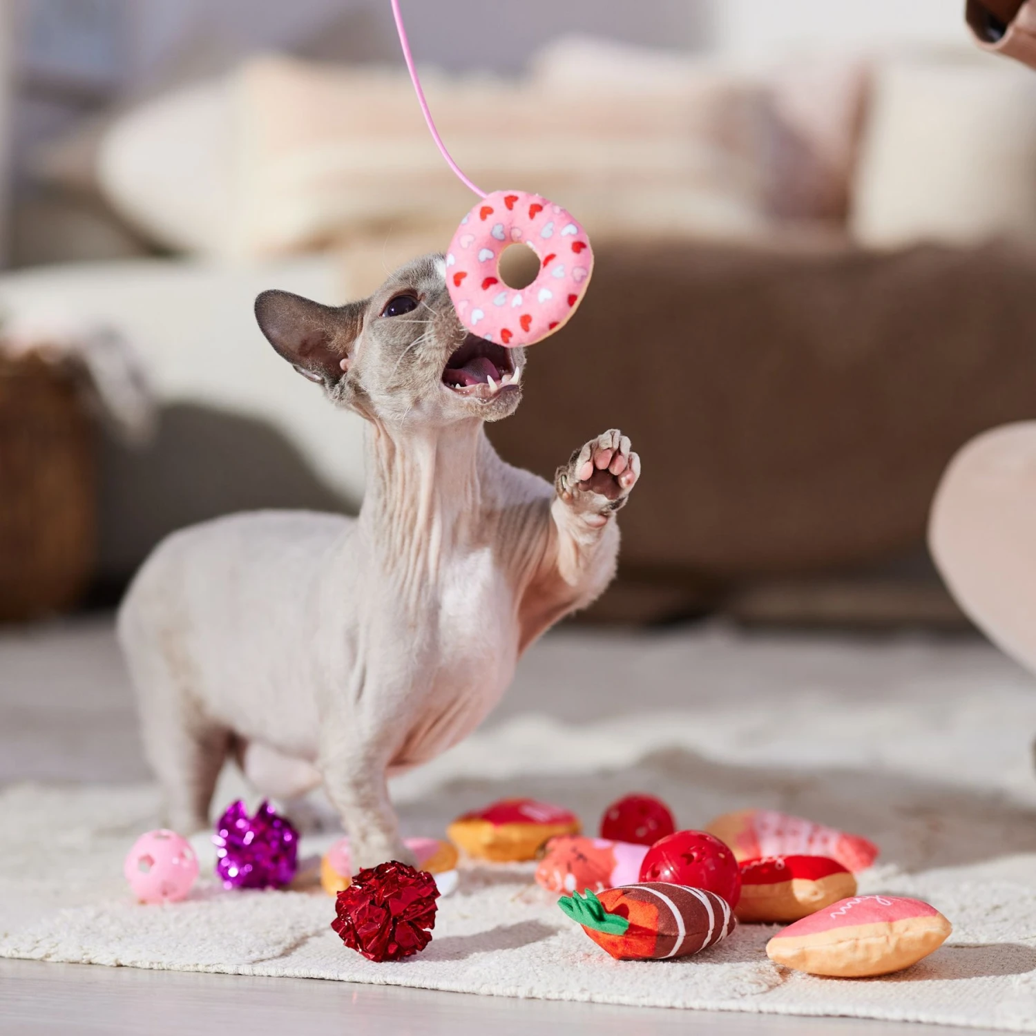 Frisco Valentine Variety Pack Cat Toy With Catnip, 13 Count 4 Frisco Valentine Variety Pack Cat Toy With Catnip, 13 Count - Image 4