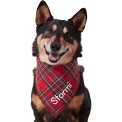 Frisco Tartan Plaid Embroidered Personalized Dog & Cat Bandana 13 Frisco Tartan Plaid Embroidered Personalized Dog & Cat Bandana -Frisco 301157 PT6. AC SS1800 V1628536009