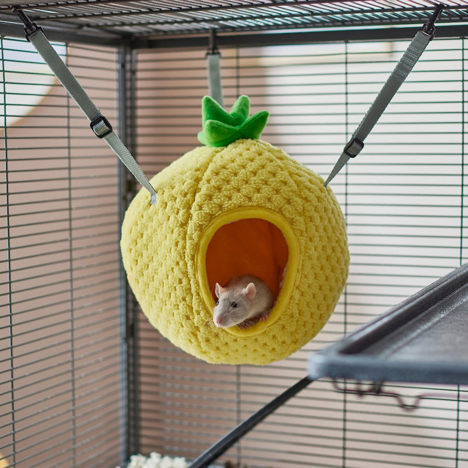 Frisco Herringbone Small Pet Plush Oval Cuddler & Frisco Pineapple Small Pet Hideaway 8 Frisco Herringbone Small Pet Plush Oval Cuddler & Frisco Pineapple Small Pet Hideaway - Image 8