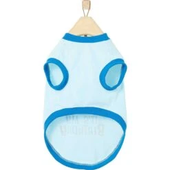 Frisco Birthday Cake Dog & Cat Hat & Frisco It's My Birthday & Cat T-Shirt -Frisco 302392 PT6. AC SS1800 V1623037340