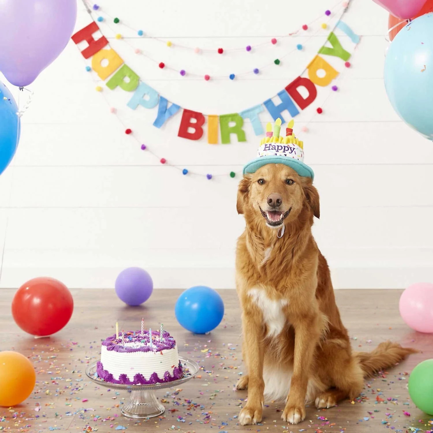 Frisco Birthday Cake Dog & Cat Hat & Frisco It's My Birthday Dog & Cat T-Shirt, Pink 4 Frisco Birthday Cake Dog & Cat Hat & Frisco It's My Birthday Dog & Cat T-Shirt, Pink - Image 4