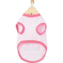 Frisco Birthday Cake Dog & Cat Hat & Frisco It's My Birthday Dog & Cat T-Shirt, Pink 15 Frisco Birthday Cake Dog & Cat Hat & Frisco It's My Birthday Dog & Cat T-Shirt, Pink -Frisco 302398 PT6. AC SS1800 V1623034652