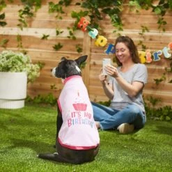 Frisco Birthday Cake Dog & Cat Hat & Frisco It's My Birthday Dog & Cat T-Shirt, Pink 16 Frisco Birthday Cake Dog & Cat Hat & Frisco It's My Birthday Dog & Cat T-Shirt, Pink -Frisco 302398 PT7. AC SS1800 V1623068851