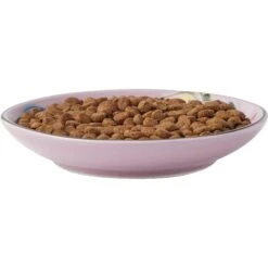 Frisco Paris Non-skid Ceramic Cat Dish & Frisco Paris Non-skid Ceramic Cat Dish 11 Frisco Paris Non-skid Ceramic Cat Dish & Frisco Paris Non-skid Ceramic Cat Dish -Frisco 302490 PT2. AC SS1800 V1623058041