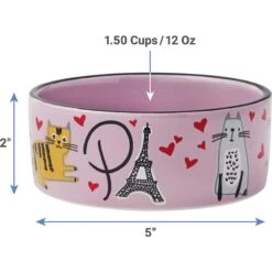 Frisco Paris Non-skid Ceramic Cat Dish & Frisco Paris Non-skid Ceramic Cat Dish 16 Frisco Paris Non-skid Ceramic Cat Dish & Frisco Paris Non-skid Ceramic Cat Dish -Frisco 302490 PT7. AC SS1800 V1623054762