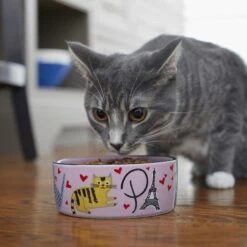 Frisco Paris Non-skid Ceramic Cat Dish & Frisco Paris Non-skid Ceramic Cat Dish 17 Frisco Paris Non-skid Ceramic Cat Dish & Frisco Paris Non-skid Ceramic Cat Dish -Frisco 302490 PT8. AC SS1800 V1623043046