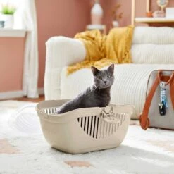 Frisco Top Loading Cat Kennel & American Journey 100% Chicken Freeze-Dried Grain-Free Cat Treats 13 Frisco Top Loading Cat Kennel & American Journey 100% Chicken Freeze-Dried Grain-Free Cat Treats -Frisco 302894 PT4. AC SS1800 V1623089550