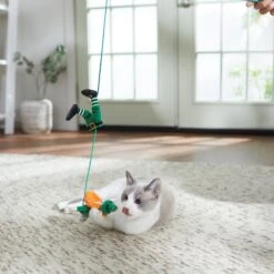 Frisco St. Patrick's Leprechaun Teaser Wand Cat Toy With Catnip 6 Frisco St. Patrick's Leprechaun Teaser Wand Cat Toy With Catnip -Frisco 303104 PT3. AC SS1800 V1641230319