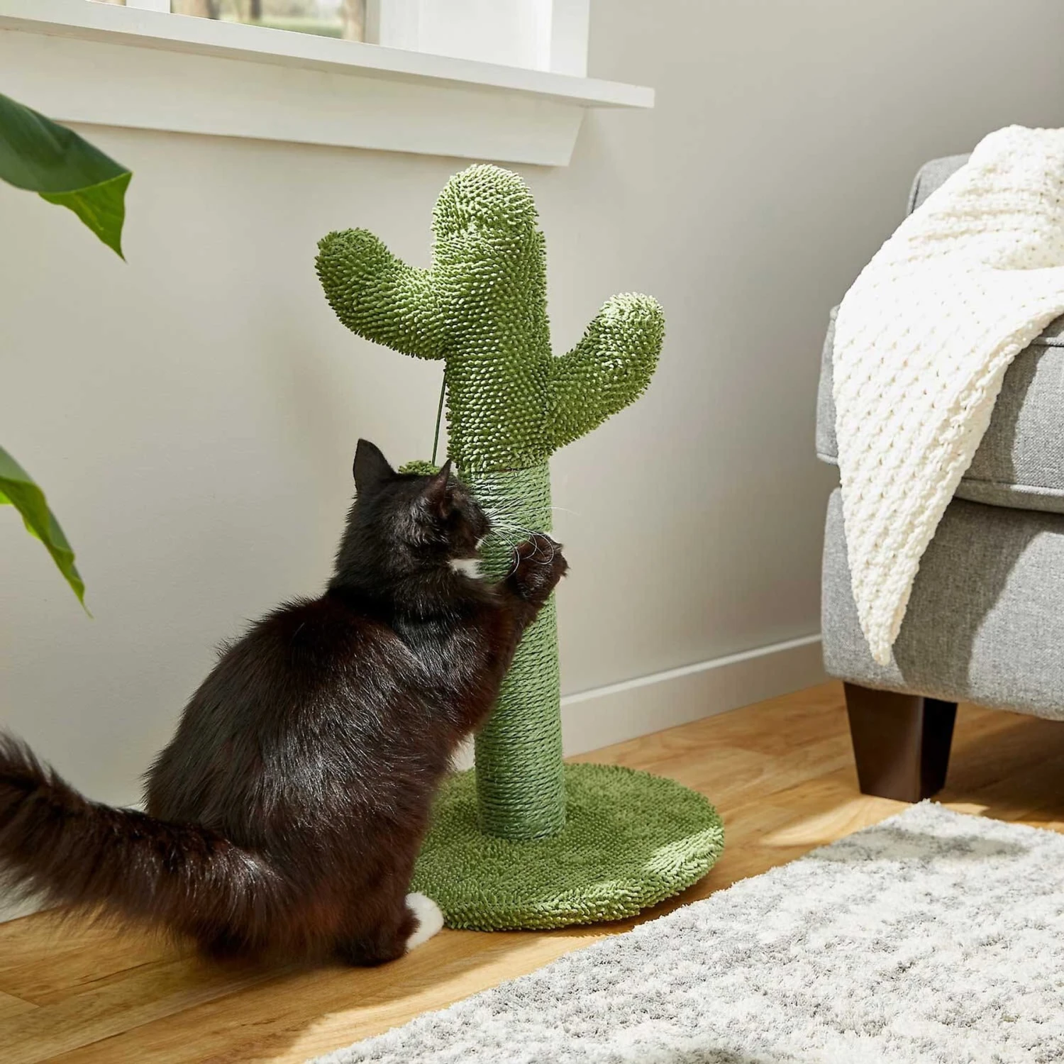 Frisco Top Loading Cat Kennel & Frisco Cactus Cat Scratching Post 8 Frisco Top Loading Cat Kennel & Frisco Cactus Cat Scratching Post - Image 8