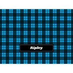 Frisco Personalized Plaid Soft Fleece Cat & Dog Blanket, 30" X 40" -Frisco 303999 PT4. AC SS1800 V1637610236