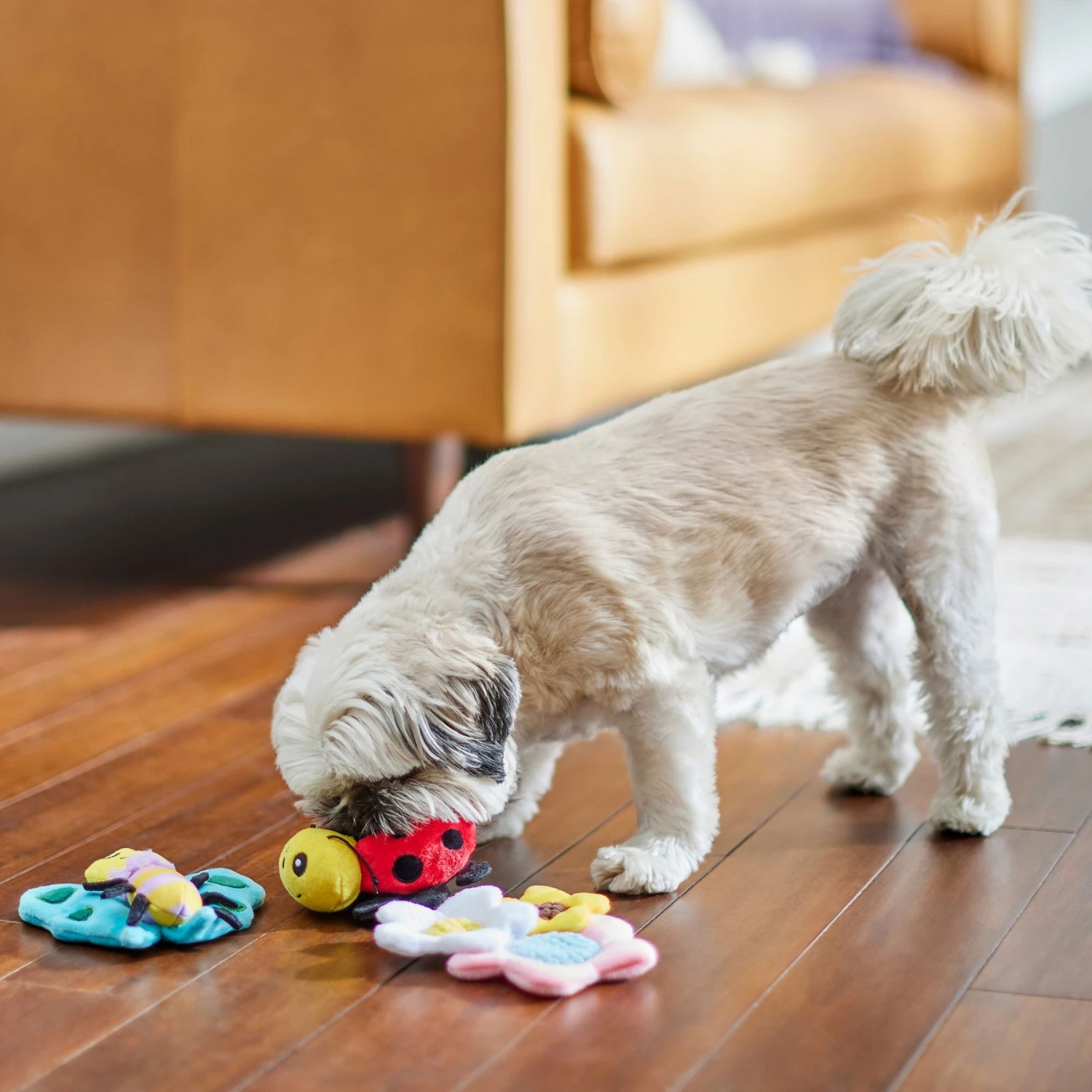 Frisco Spring Pack Plush Squeaky Dog Toy 4 Frisco Spring Pack Plush Squeaky Dog Toy - Image 4