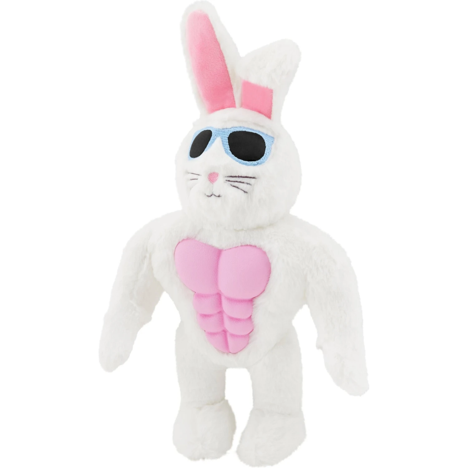 Frisco Easter Bunny Muscle Plush Squeaky Dog Toy 1 Frisco Easter Bunny Muscle Plush Squeaky Dog Toy