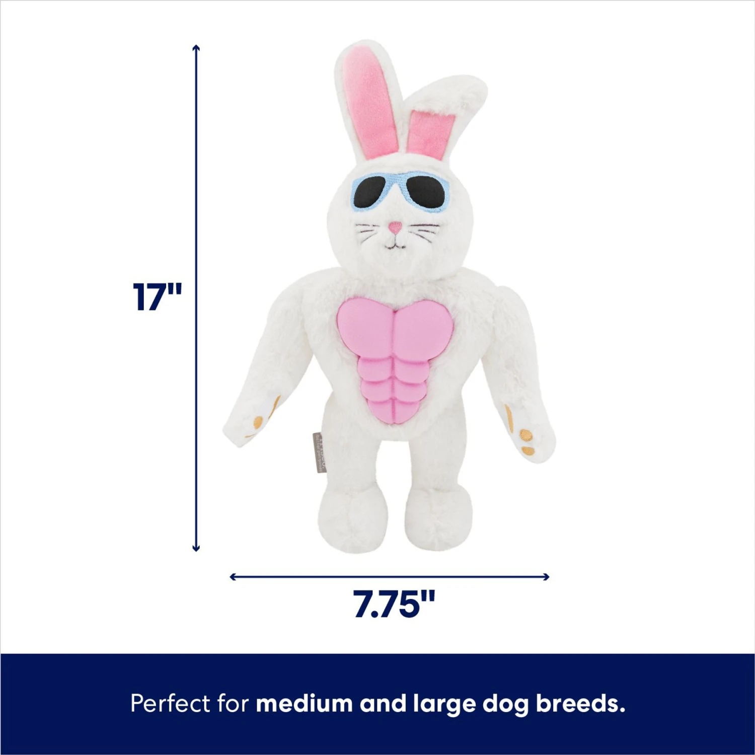 Frisco Easter Bunny Muscle Plush Squeaky Dog Toy 2 Frisco Easter Bunny Muscle Plush Squeaky Dog Toy - Image 2